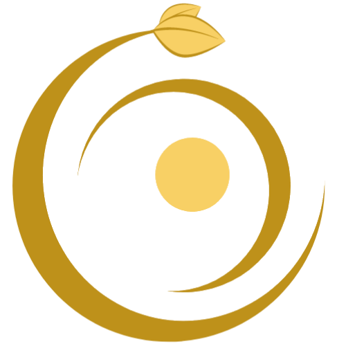 Circulaya eco packaging concepts, PPWR consultancy