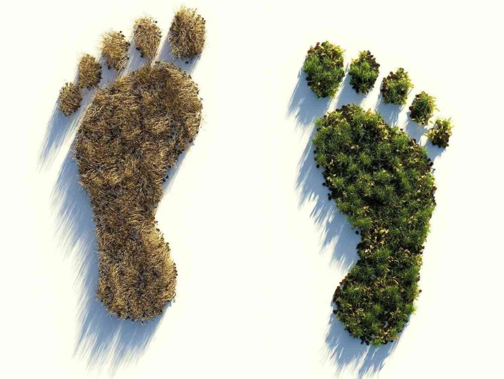 ökologischer Fussabdruck