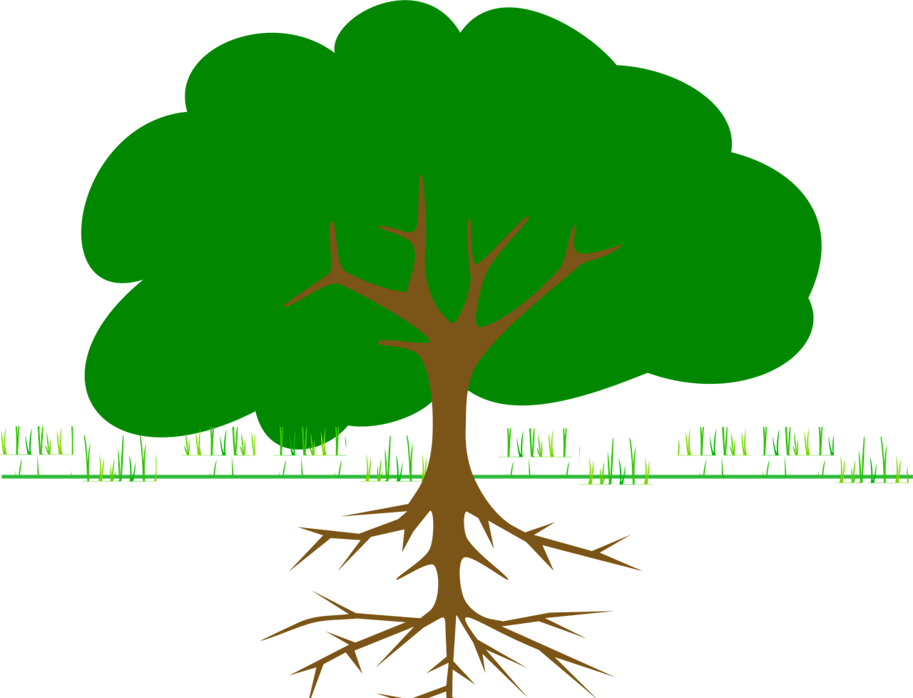 tree, branches, roots, ecology, bio, organic, grow, nature, forest, tree, tree, tree, roots, roots, roots, bio, bio, bio, bio, bio, grow, grow, grow, nature-295244.jpg